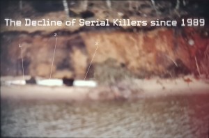 The Decline of Serial Killers since 1989