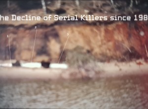 thedeclineofserialkillerssince1989